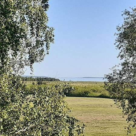 Tuule Villa Kuressaare Eksteriør billede